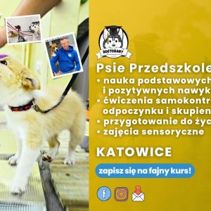 Przedszkole dla szczeniaków