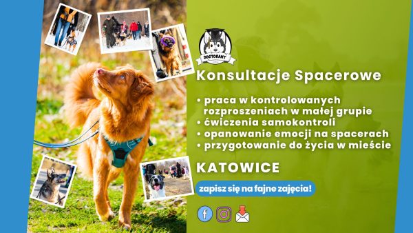 Konsultacje spacerowe