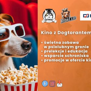 Kino z Dogtorantem